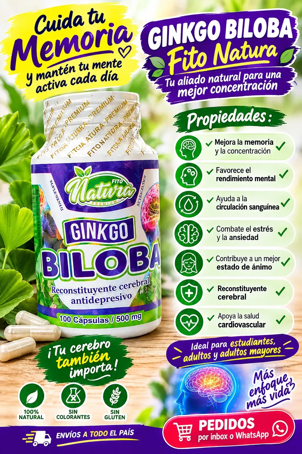 GINKGO BILOBA