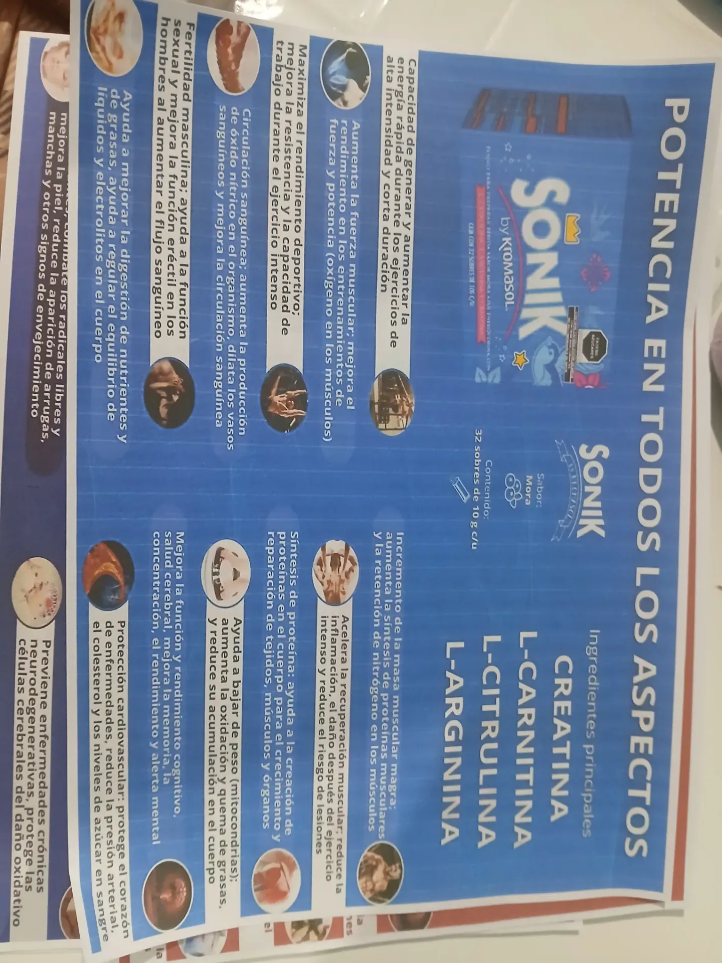 SONIC 36 SObre