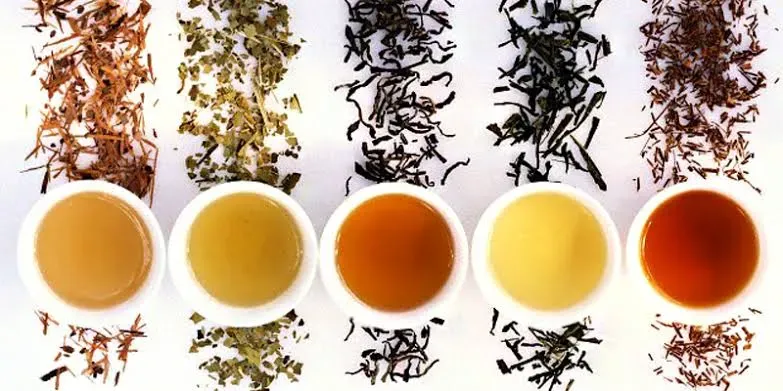 Infusiones de Té