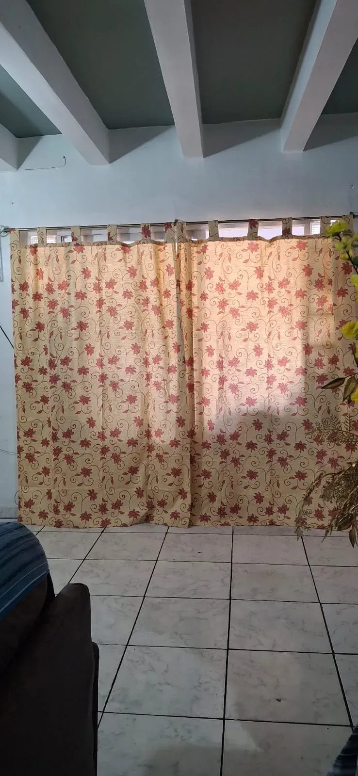 Vista 13