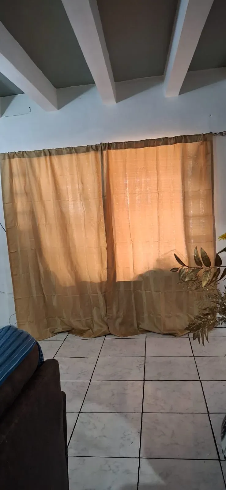 Vista 26