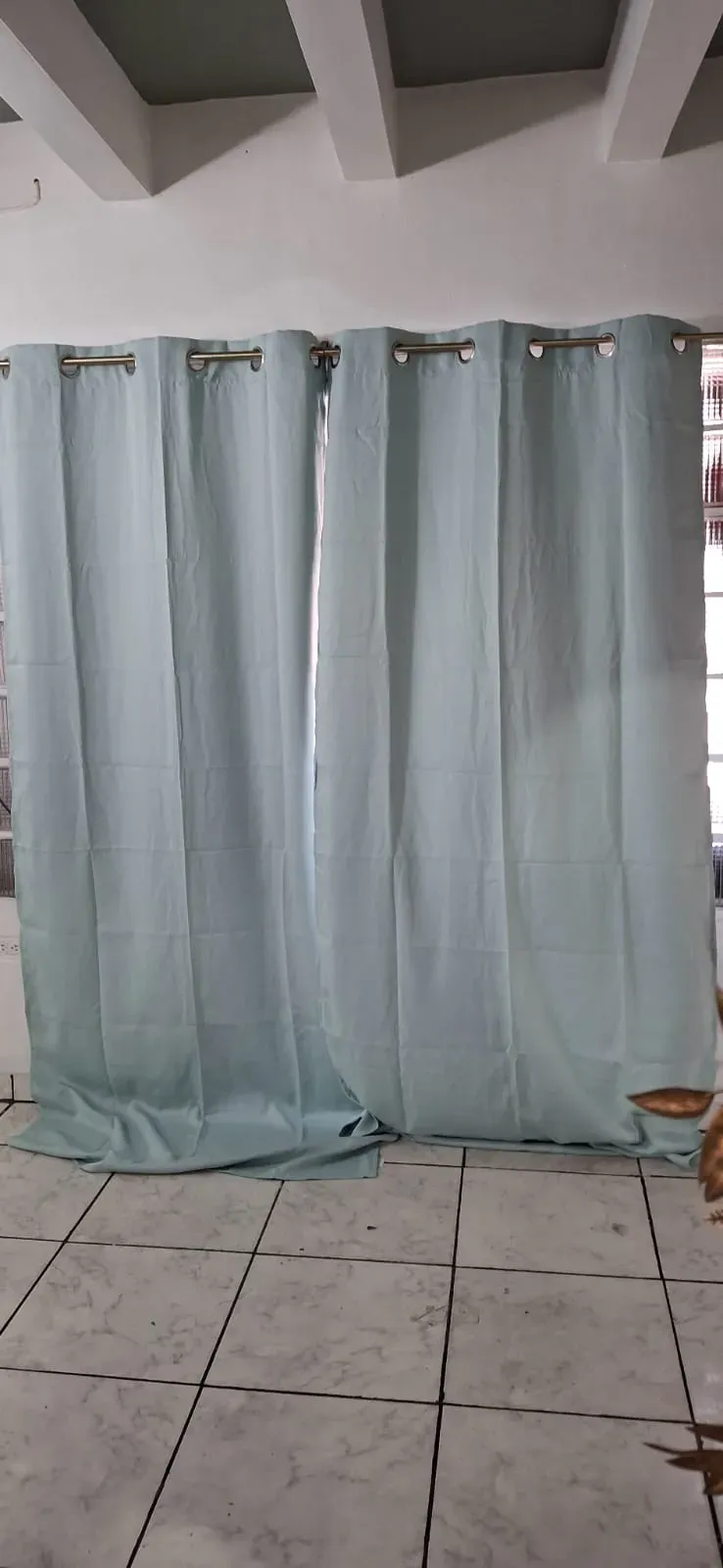 Vista 29