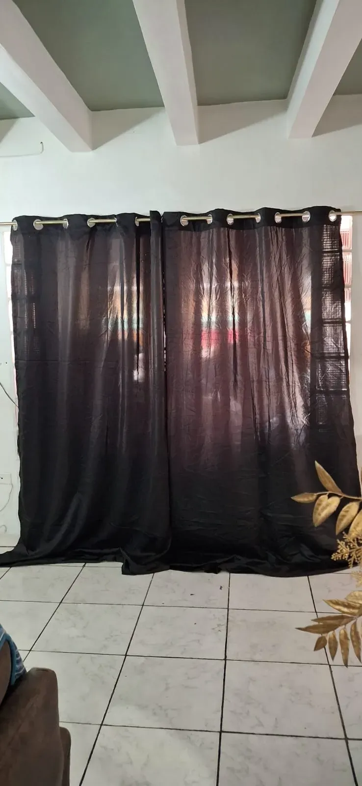 Vista 33