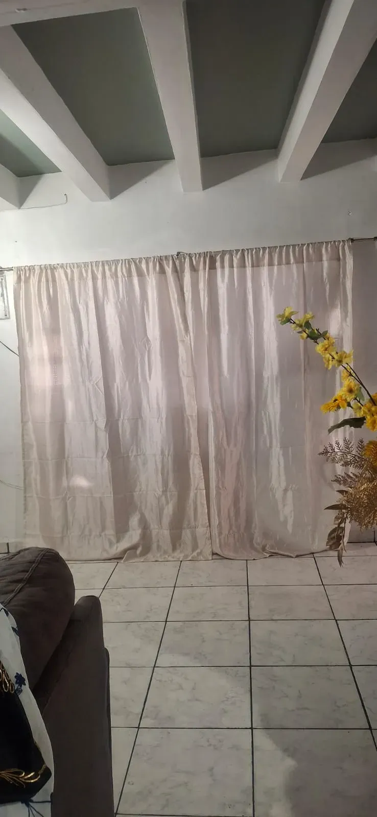 Vista 38