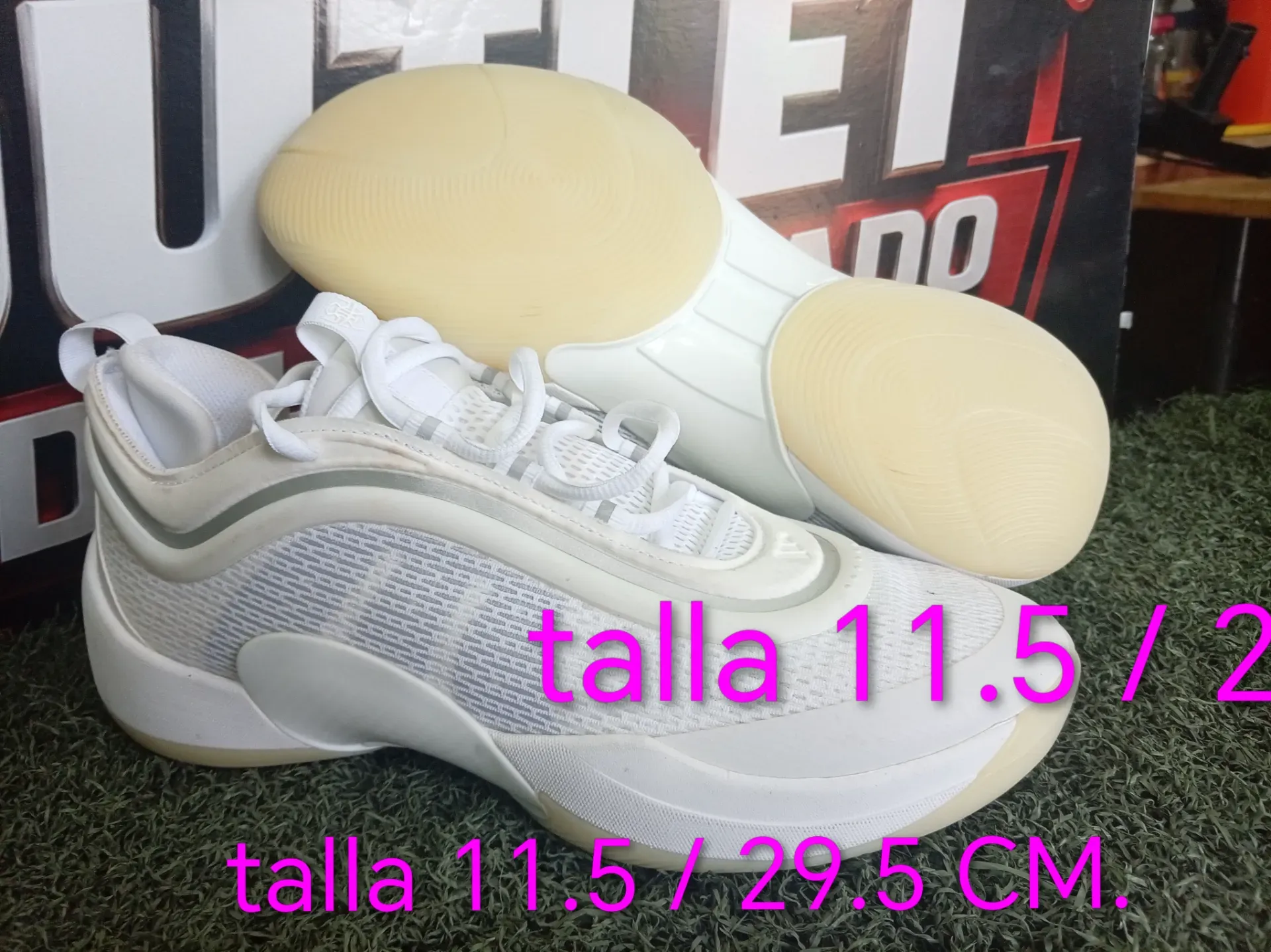 Tennis de basket
