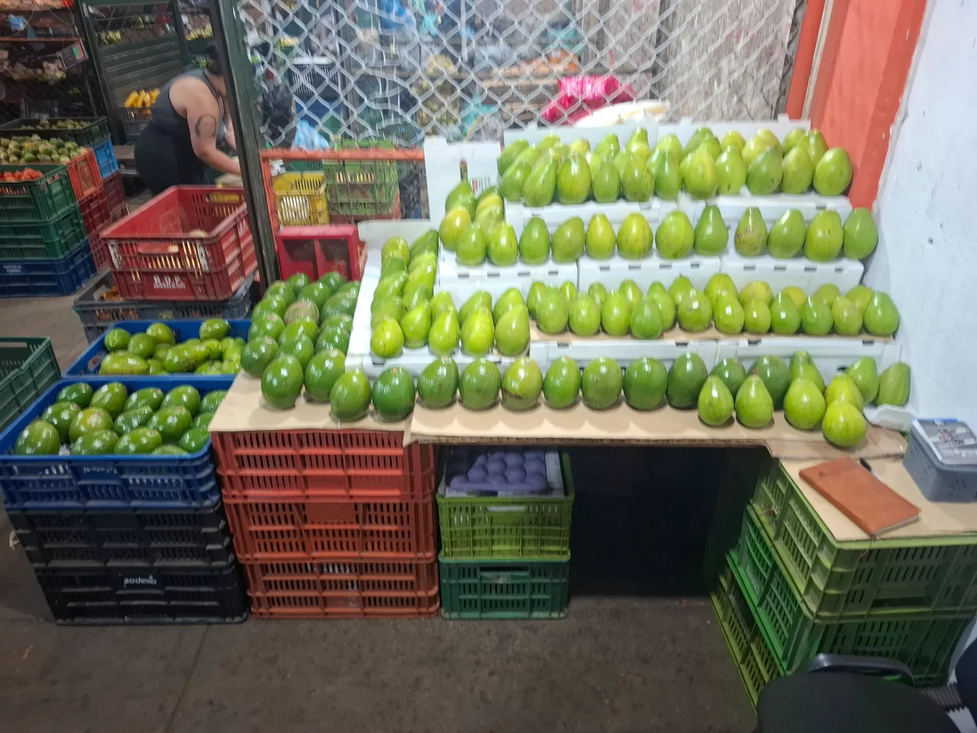 Aguacate papelillo