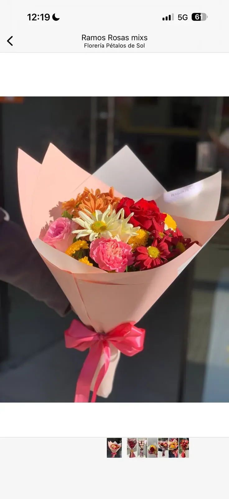 Ramo Primavera