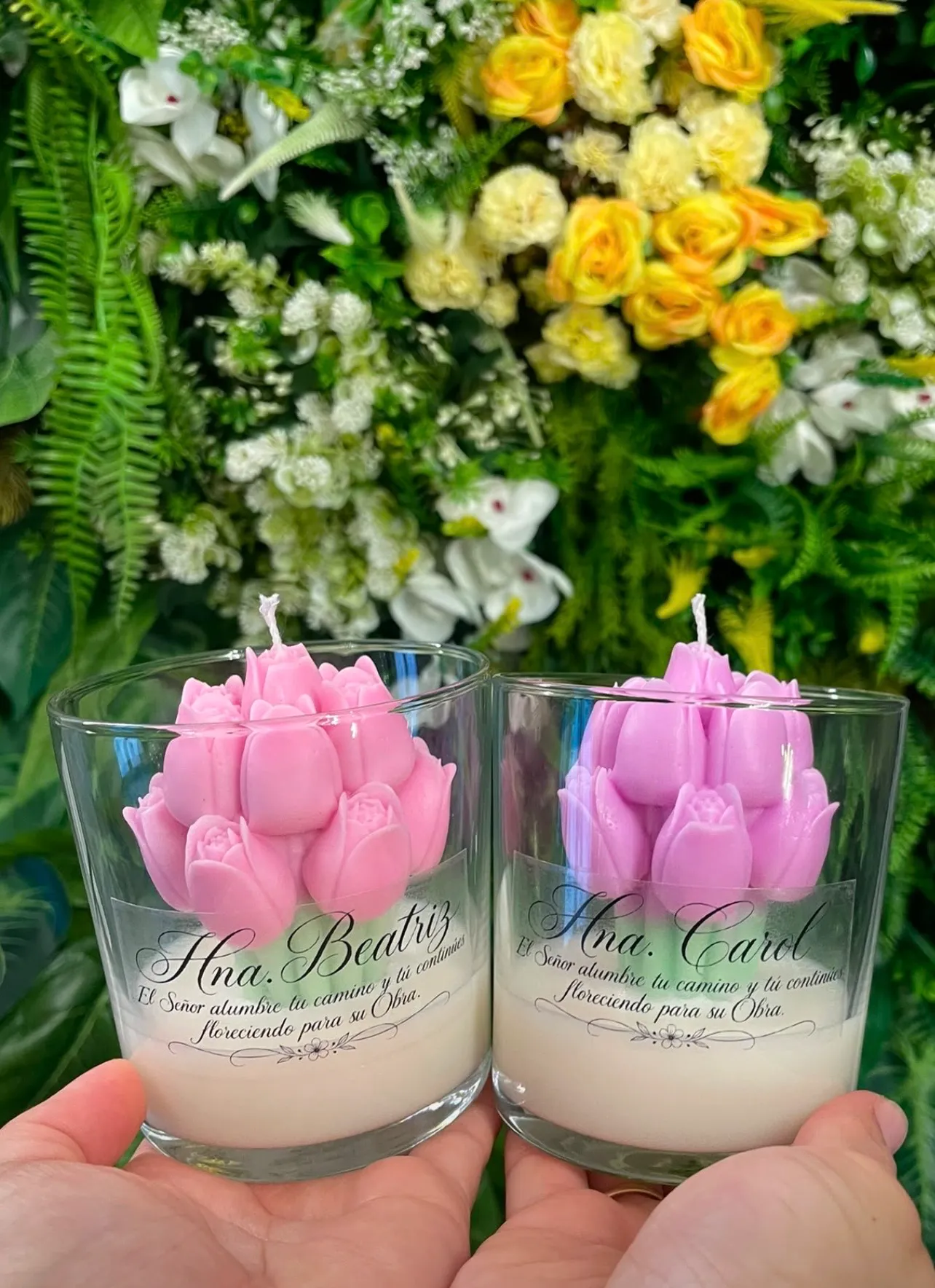 Tulipanes 🌷