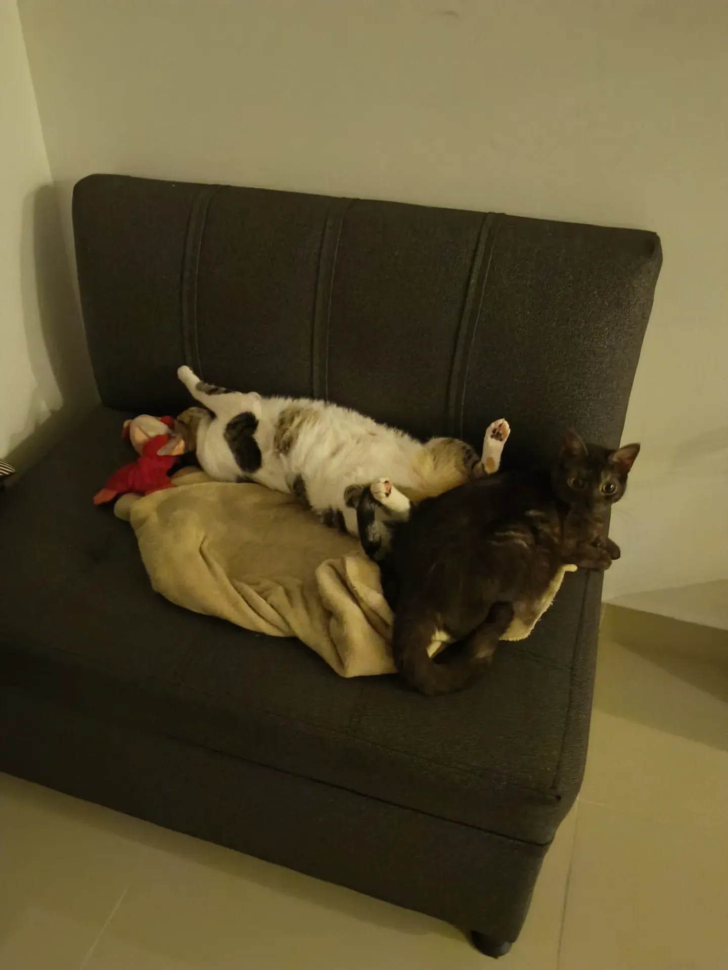 Conjuntos de bebe
