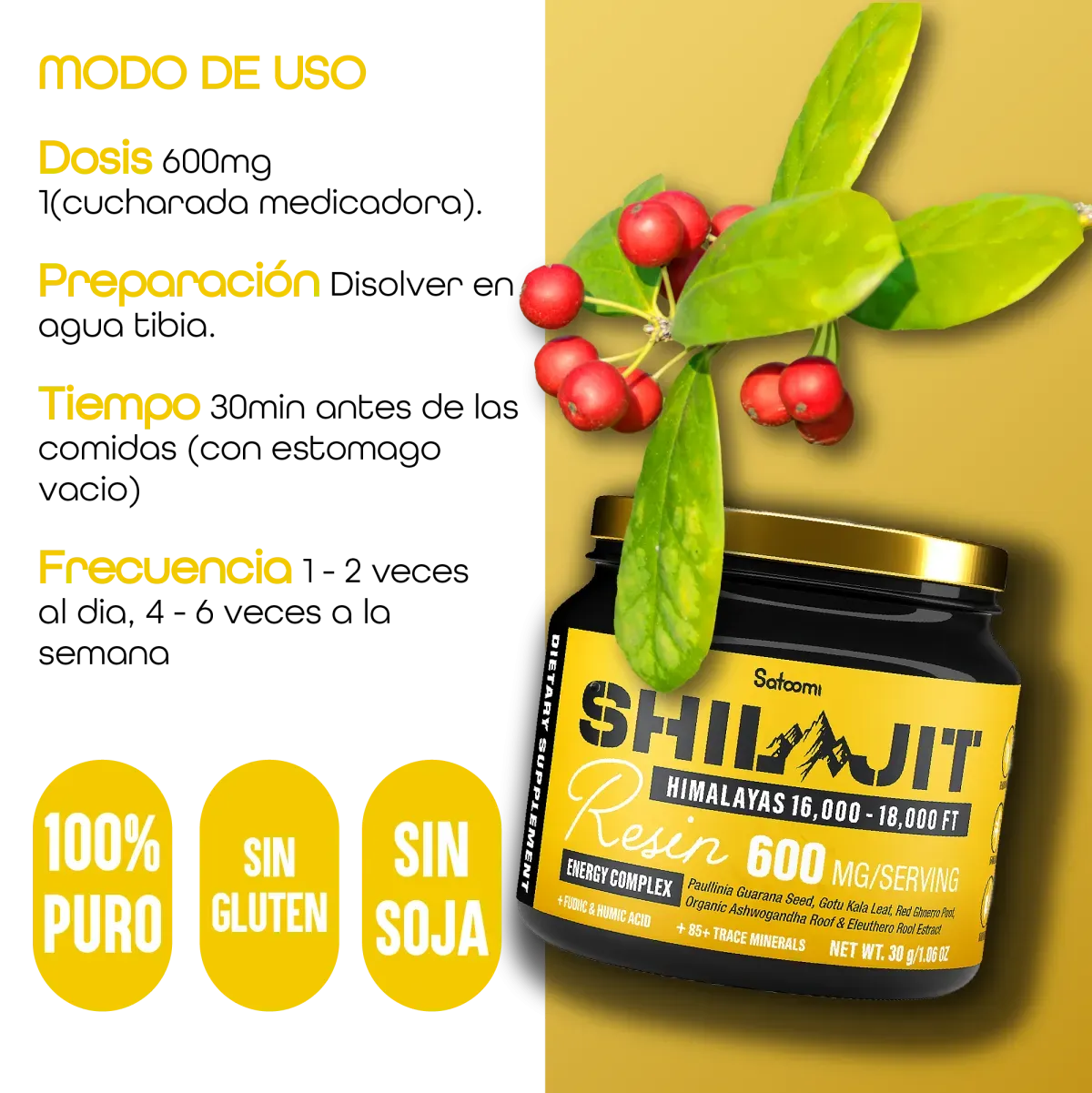 Resina Shilajit Himalaya Satoomi 600 mg complejo de energía