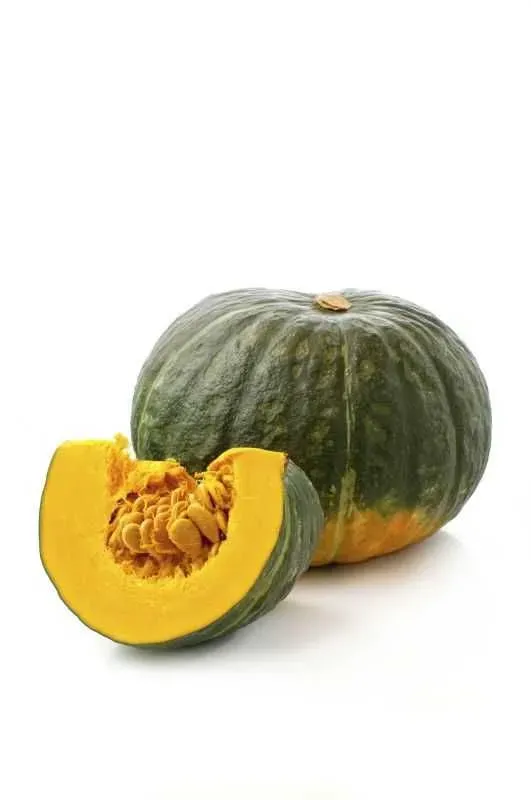 Zapallo