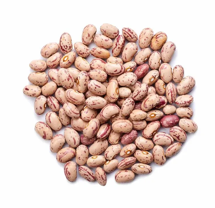 Porotos