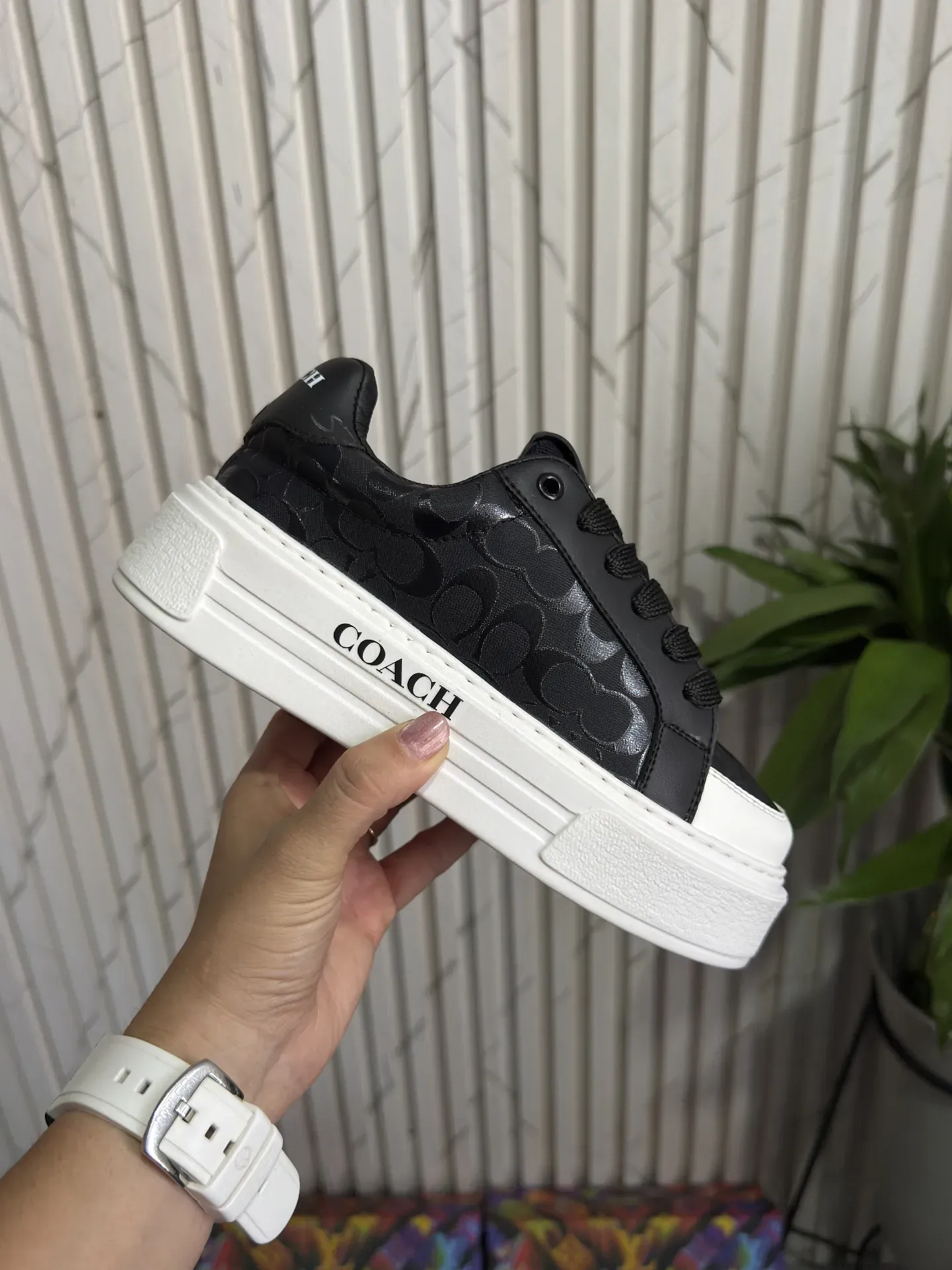 Tenis coach