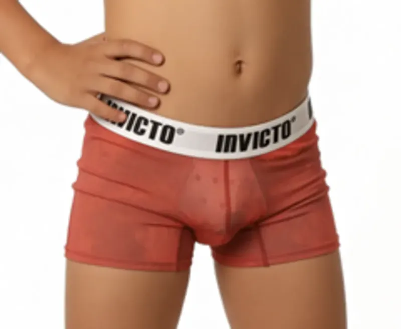 Vista 2