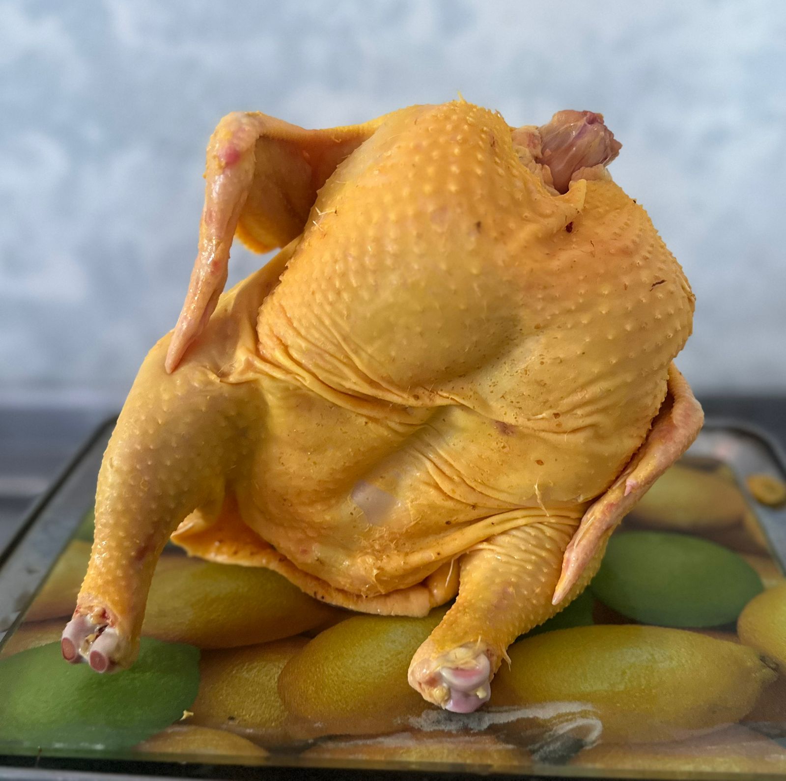 Pollo