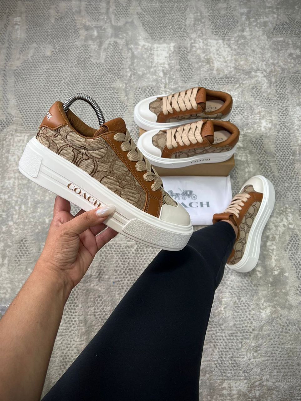 COACH DAMA BEIGE