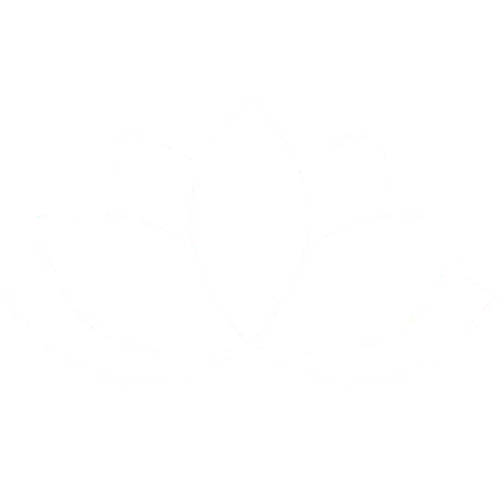 CASSAVA