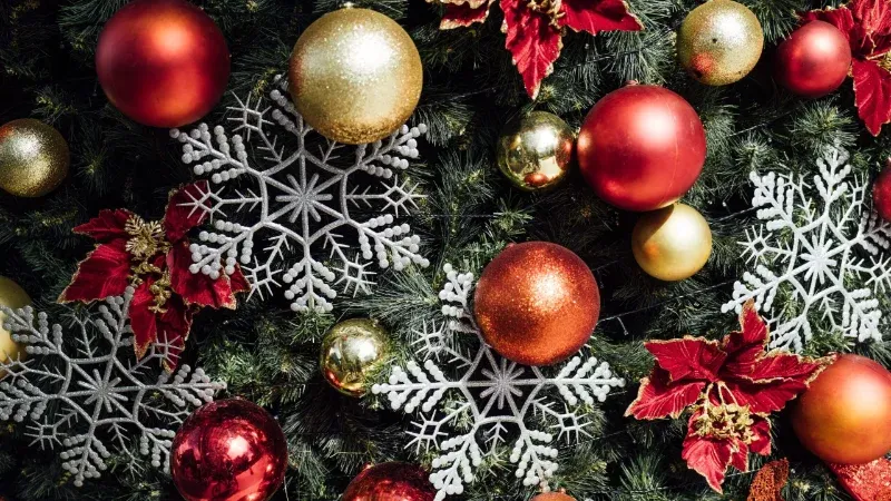 Menú Navideño